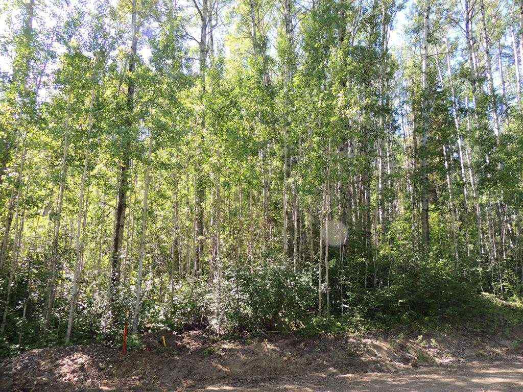 MLS® A2246266 - Lot #11 Wapiti River SW-21-69-10-W6   in NONE Rural Grande Prairie No. 1, County of, Land