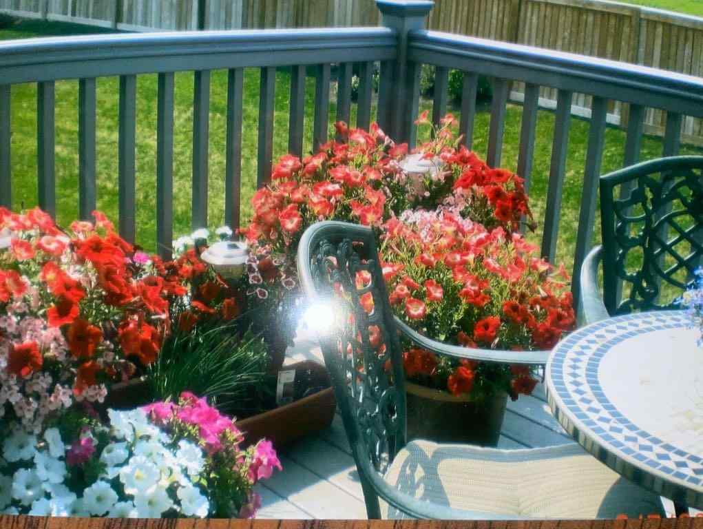 MLS® A2246271 - 69 Bridle Estates Road SW in Bridlewood Calgary, Residential