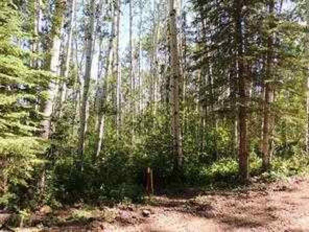 MLS® A2246279 - Lot #10 Wapiti River SW-21-69-10-W6   in NONE Rural Grande Prairie No. 1, County of, Land