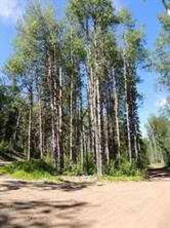MLS® A2246282 - Lot #7 Wapiti River SW-21-69-10-W6   in NONE Rural Grande Prairie No. 1, County of, Land