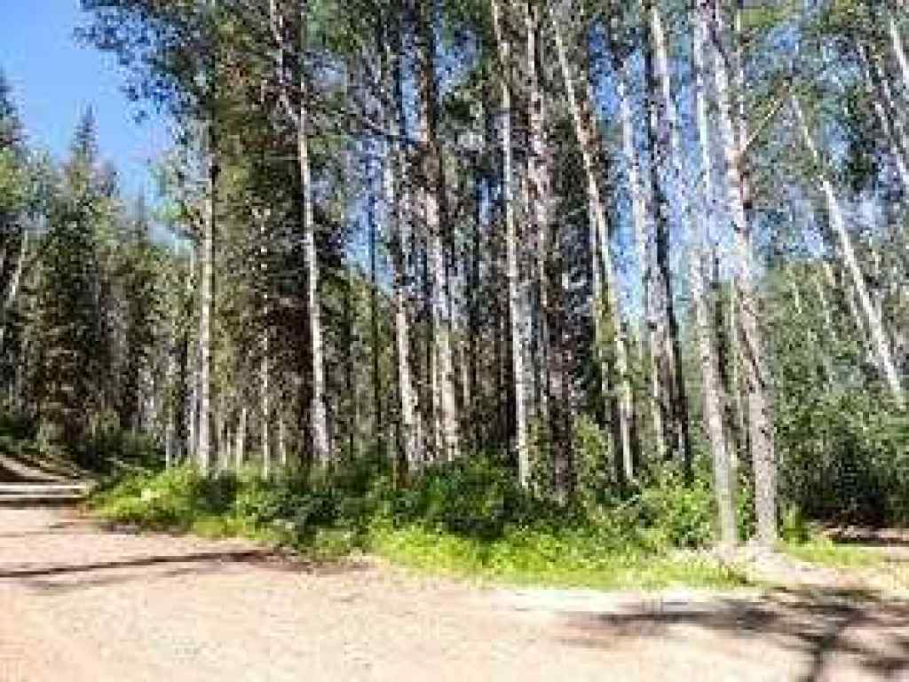 MLS® A2246282 - Lot #7 Wapiti River SW-21-69-10-W6   in NONE Rural Grande Prairie No. 1, County of, Land