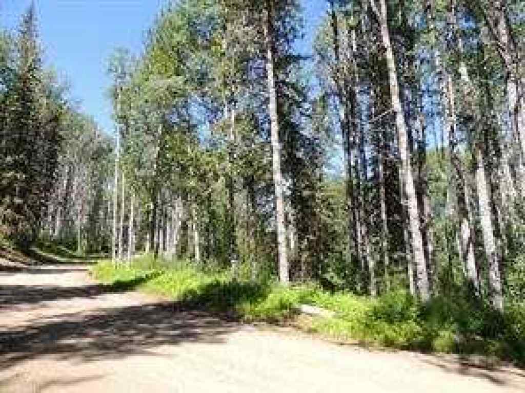 MLS® A2246282 - Lot #7 Wapiti River SW-21-69-10-W6   in NONE Rural Grande Prairie No. 1, County of, Land