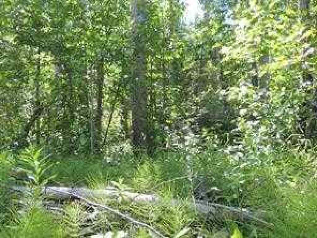 MLS® A2246282 - Lot #7 Wapiti River SW-21-69-10-W6   in NONE Rural Grande Prairie No. 1, County of, Land