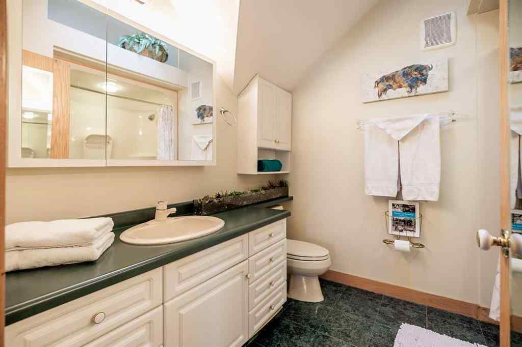 MLS® A2246355 - 107 Mount View   in NONE Waterton Park, Residential