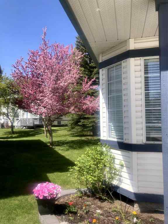 MLS® A2246426 - 311 Citadel Terrace NW in Citadel Calgary, Residential
