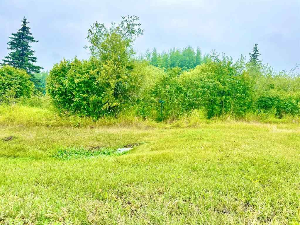 MLS® A2246450 - Unit #538 13221 TWP RD 680 Township  in Lac La Biche Lac La Biche, Land