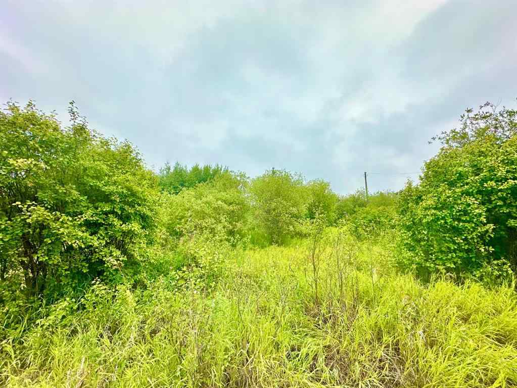 MLS® A2246450 - Unit #538 13221 TWP RD 680 Township  in Lac La Biche Lac La Biche, Land