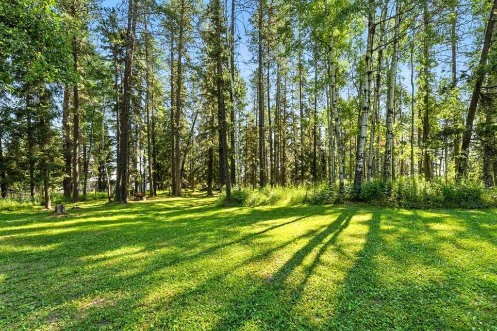 MLS® A2246573 - 80002 Old Highway 11a   in Pine Ridge Estates Rural Clearwater County, Residential