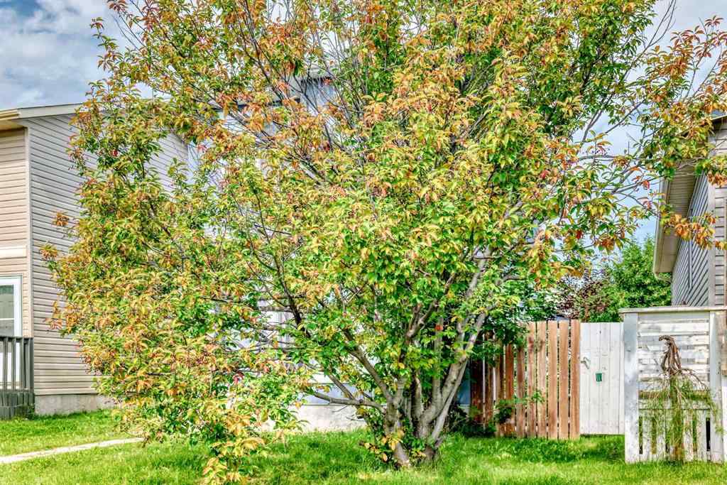 MLS® A2246621 - 7 Martinview Crescent  in Martindale Calgary, Residential