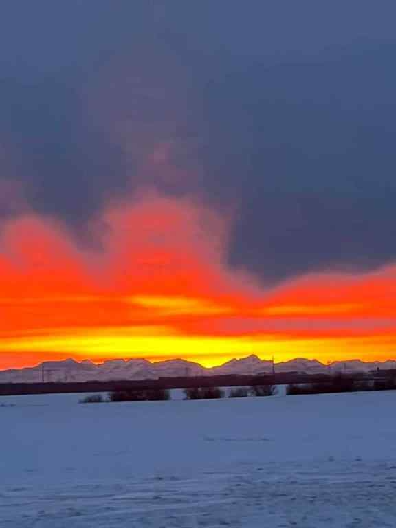 MLS® A2246965 - 344066 Range Road 45   in NONE Rural Mountain View County, Agri-Business