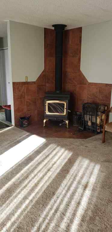 MLS® A2246965 - 344066 Range Road 45   in NONE Rural Mountain View County, Agri-Business