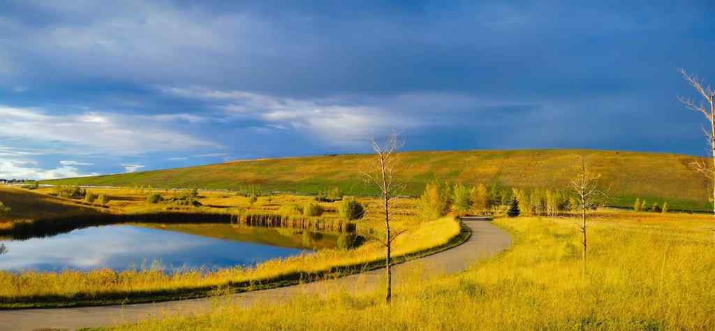 MLS® A2247072 - Unit #3114 81 Legacy Boulevard SE in Legacy Calgary, Residential