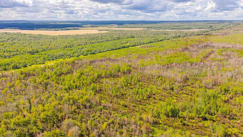 MLS® A2247111 - SE-25-79-9-W6 Township 794   in NONE Rural Saddle Hills County, Agri-Business