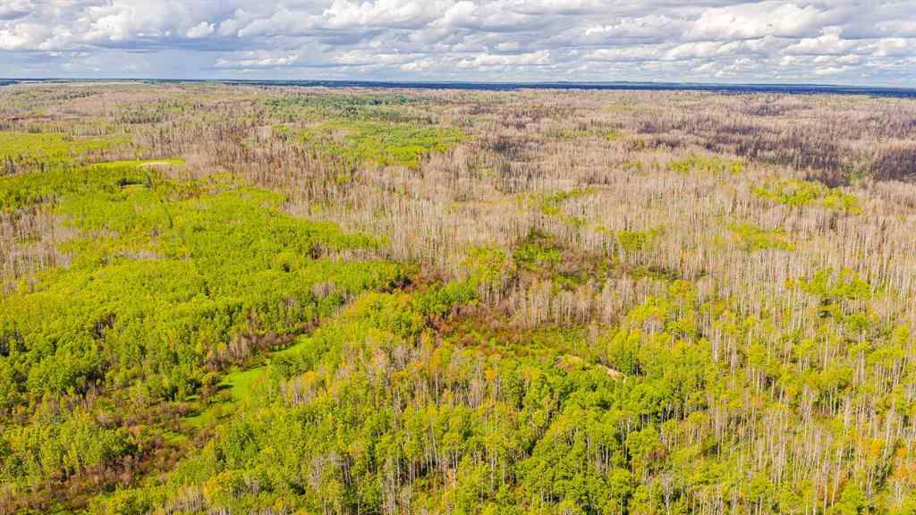 MLS® A2247111 - SE-25-79-9-W6 Township 794   in NONE Rural Saddle Hills County, Agri-Business