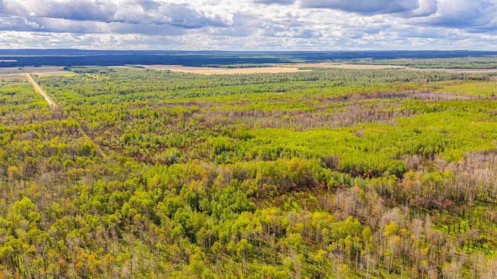 MLS® A2247111 - SE-25-79-9-W6 Township 794   in NONE Rural Saddle Hills County, Agri-Business