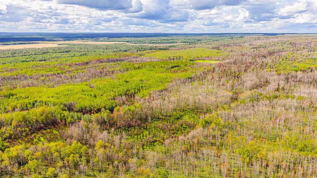 MLS® A2247111 - SE-25-79-9-W6 Township 794   in NONE Rural Saddle Hills County, Agri-Business