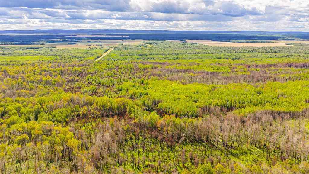 MLS® A2247111 - SE-25-79-9-W6 Township 794   in NONE Rural Saddle Hills County, Agri-Business