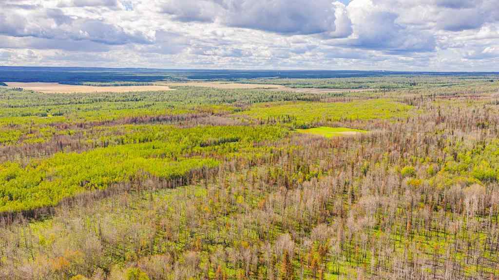 MLS® A2247111 - SE-25-79-9-W6 Township 794   in NONE Rural Saddle Hills County, Agri-Business