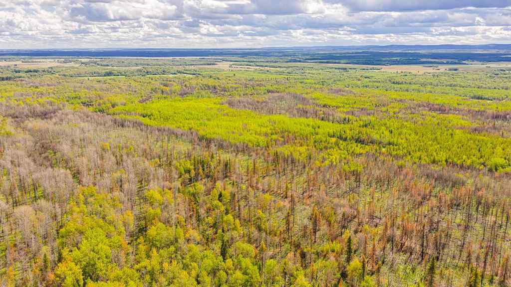 MLS® A2247111 - SE-25-79-9-W6 Township 794   in NONE Rural Saddle Hills County, Agri-Business