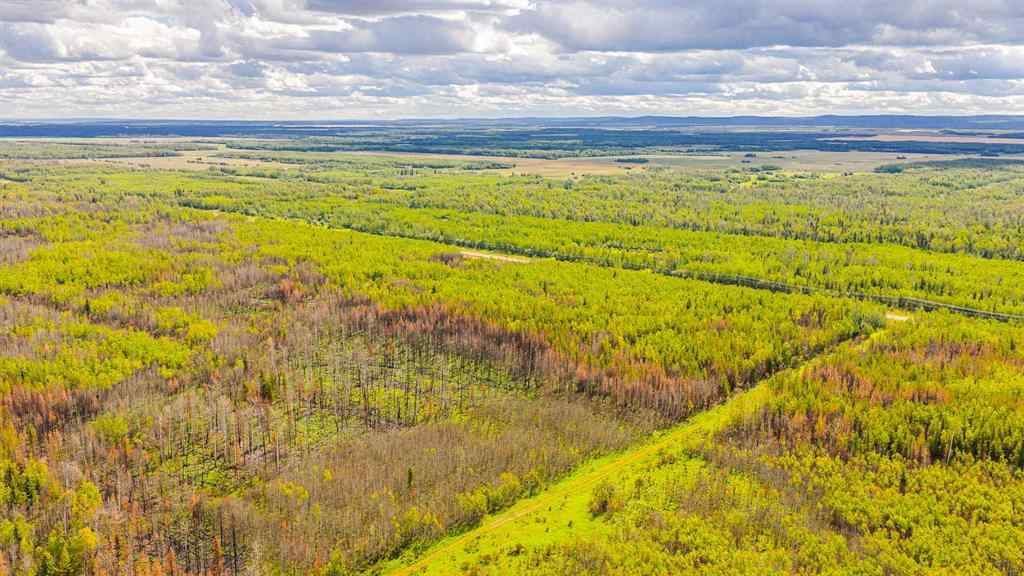 MLS® A2247111 - SE-25-79-9-W6 Township 794   in NONE Rural Saddle Hills County, Agri-Business