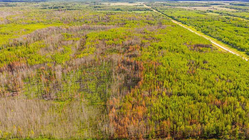 MLS® A2247111 - SE-25-79-9-W6 Township 794   in NONE Rural Saddle Hills County, Agri-Business