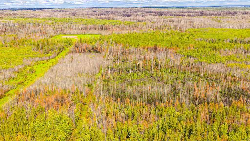MLS® A2247111 - SE-25-79-9-W6 Township 794   in NONE Rural Saddle Hills County, Agri-Business