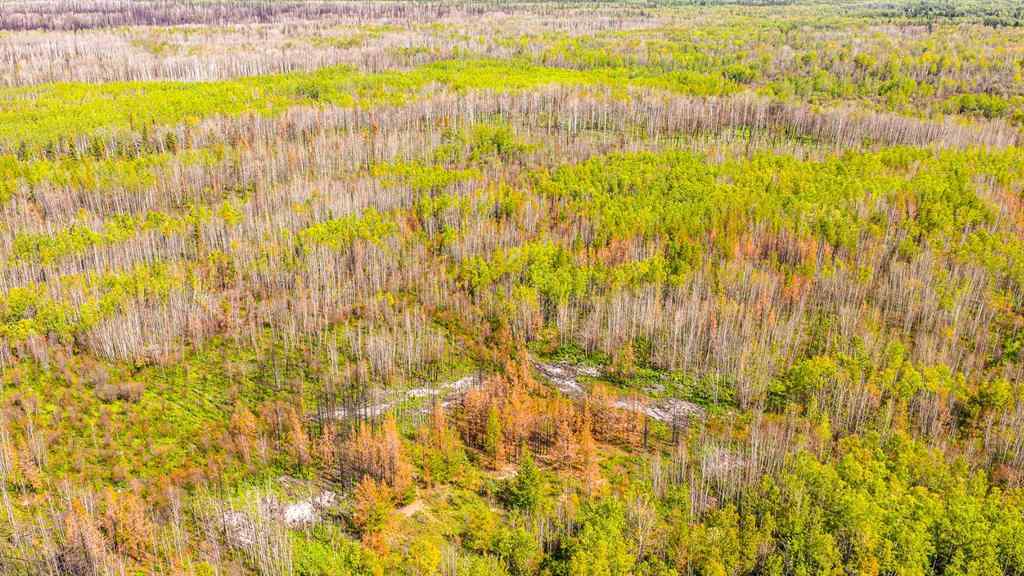 MLS® A2247111 - SE-25-79-9-W6 Township 794   in NONE Rural Saddle Hills County, Agri-Business