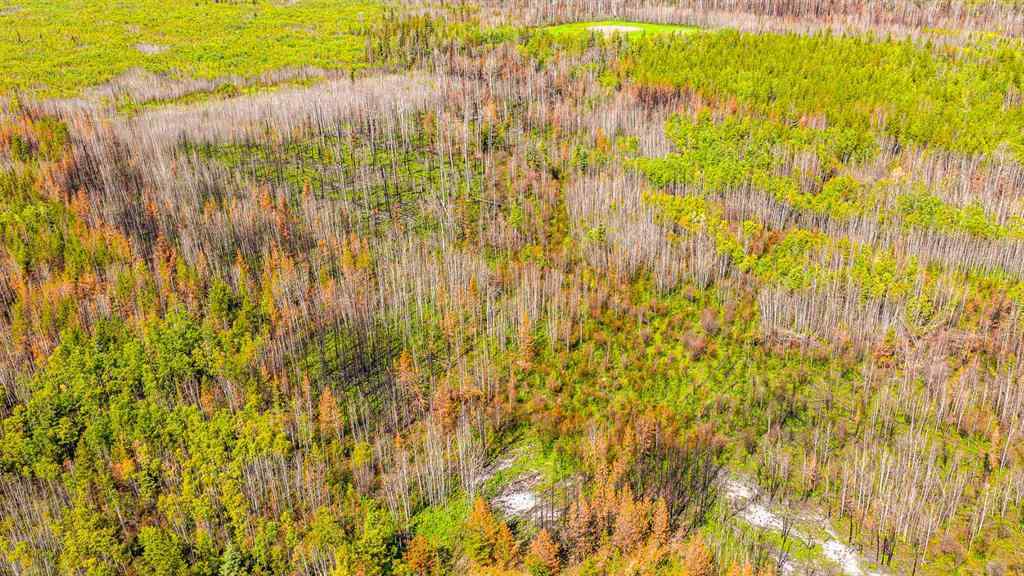MLS® A2247111 - SE-25-79-9-W6 Township 794   in NONE Rural Saddle Hills County, Agri-Business