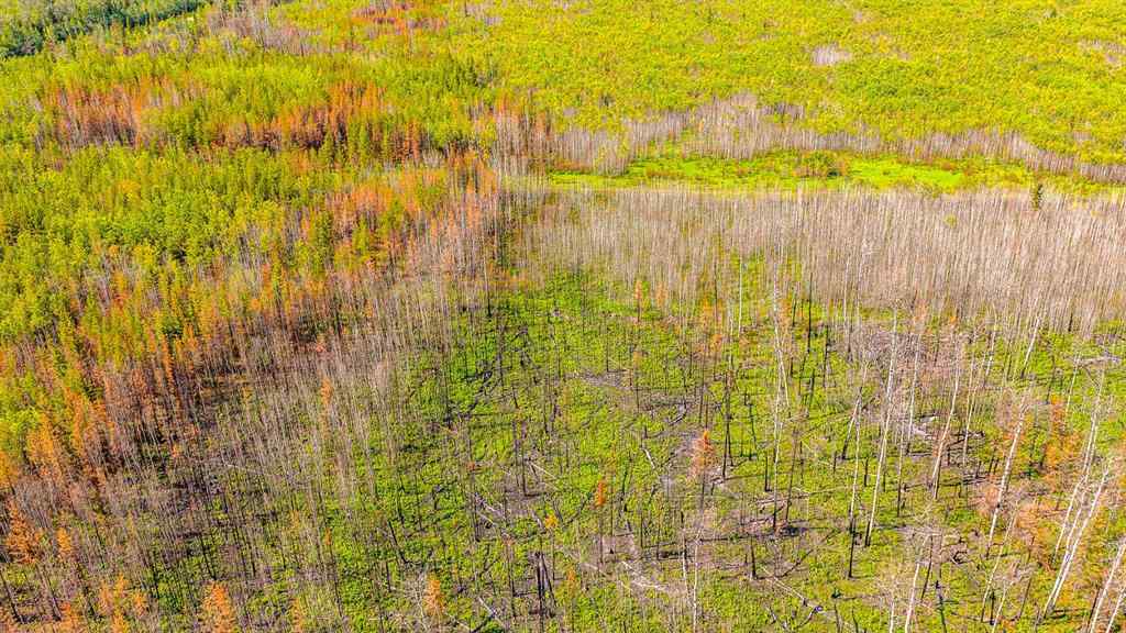 MLS® A2247111 - SE-25-79-9-W6 Township 794   in NONE Rural Saddle Hills County, Agri-Business