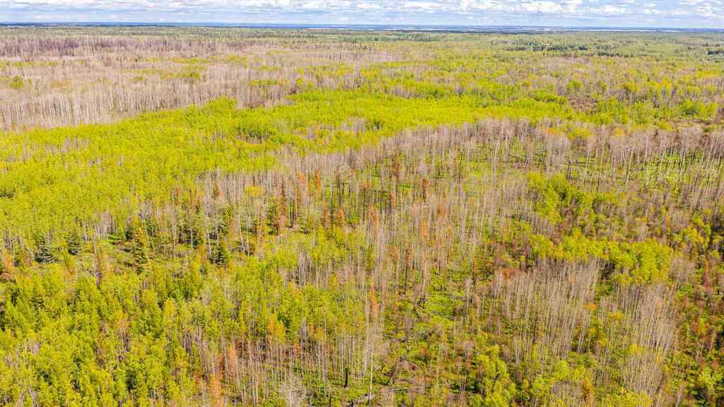 MLS® A2247111 - SE-25-79-9-W6 Township 794   in NONE Rural Saddle Hills County, Agri-Business