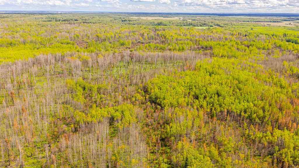 MLS® A2247111 - SE-25-79-9-W6 Township 794   in NONE Rural Saddle Hills County, Agri-Business