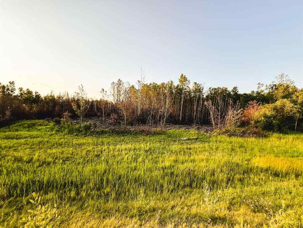 MLS® A2247111 - SE-25-79-9-W6 Township 794   in NONE Rural Saddle Hills County, Agri-Business