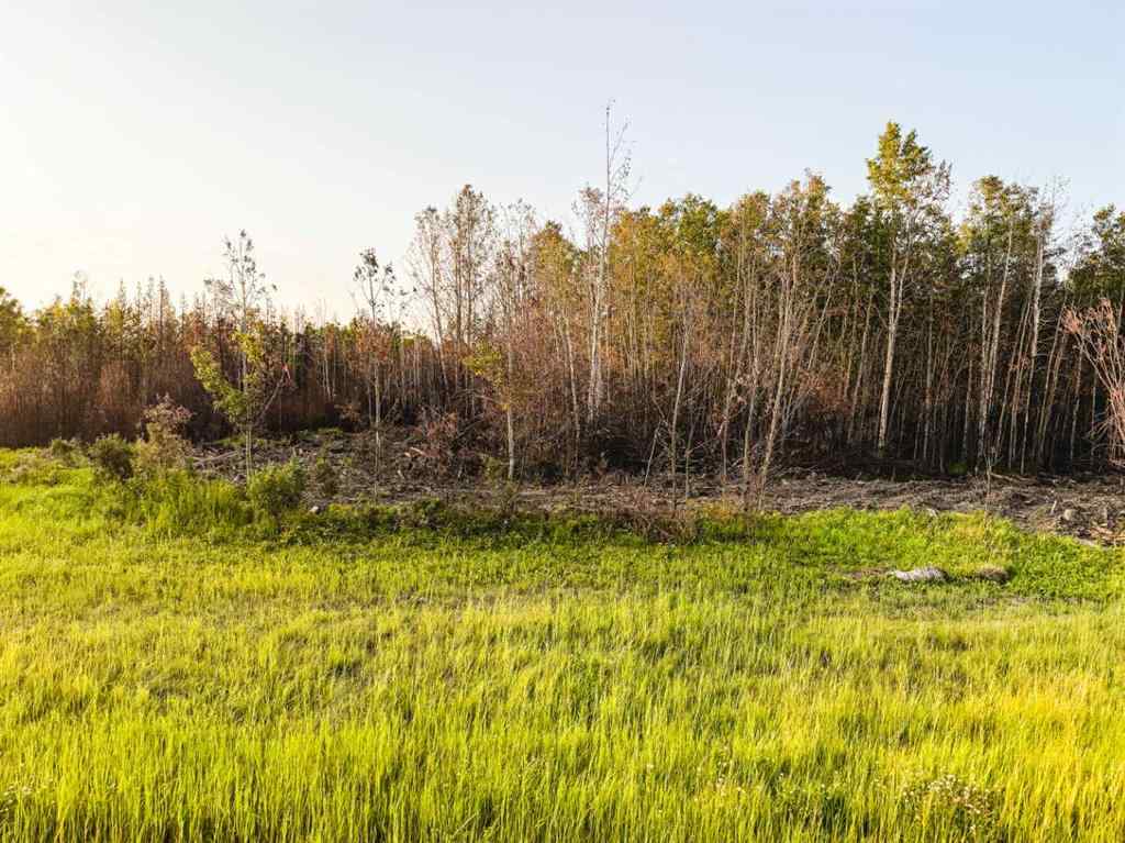 MLS® A2247111 - SE-25-79-9-W6 Township 794   in NONE Rural Saddle Hills County, Agri-Business