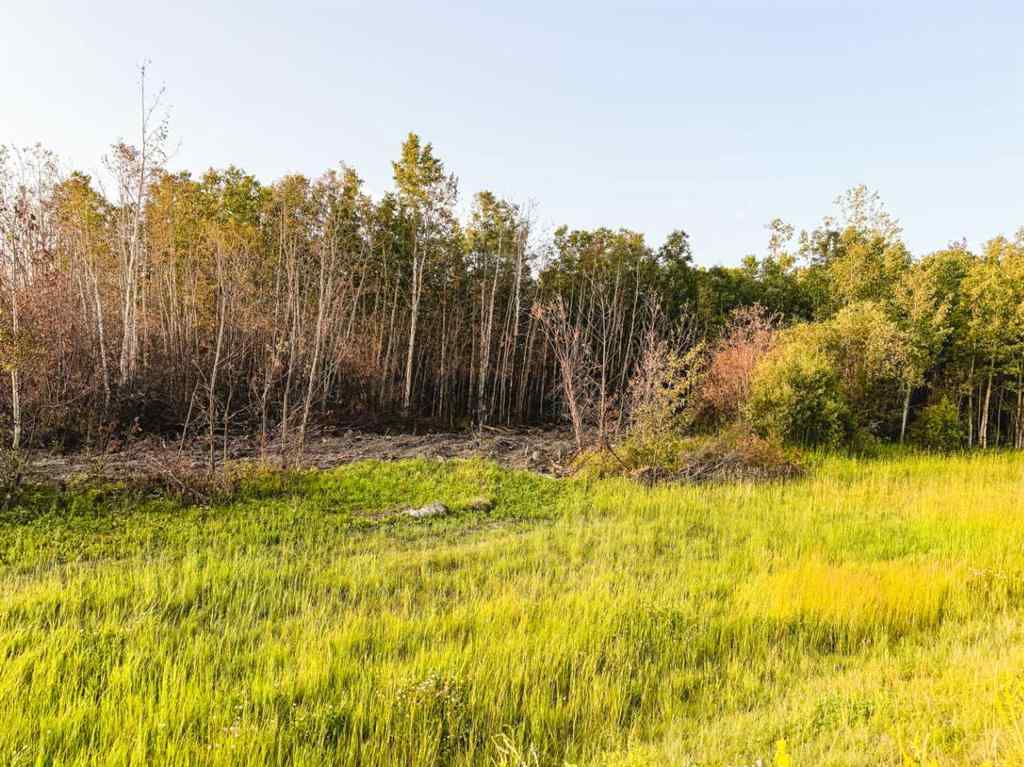 MLS® A2247111 - SE-25-79-9-W6 Township 794   in NONE Rural Saddle Hills County, Agri-Business