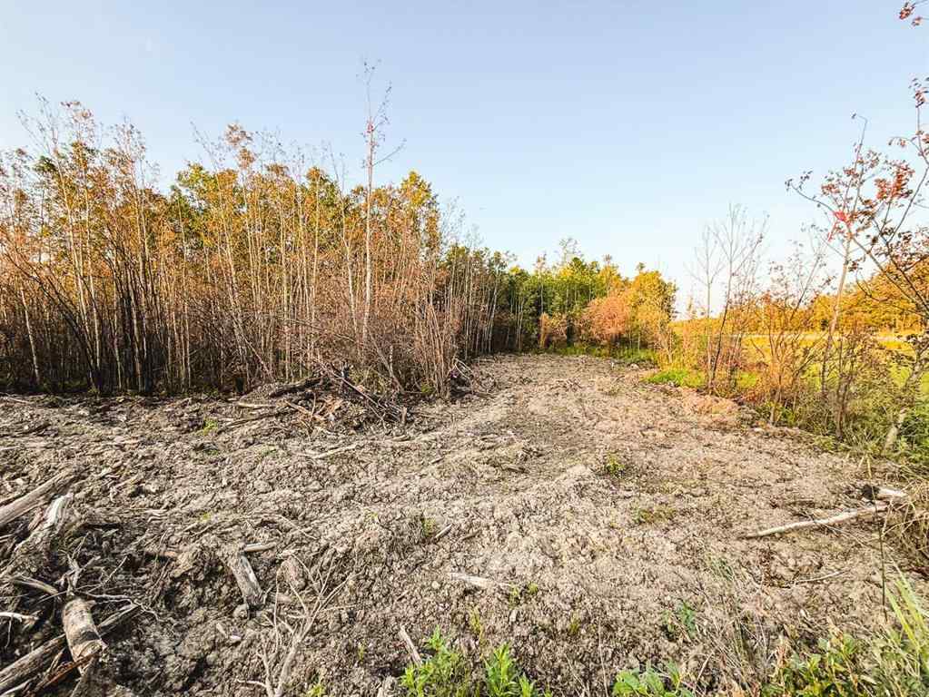 MLS® A2247111 - SE-25-79-9-W6 Township 794   in NONE Rural Saddle Hills County, Agri-Business