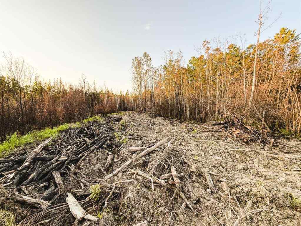 MLS® A2247111 - SE-25-79-9-W6 Township 794   in NONE Rural Saddle Hills County, Agri-Business