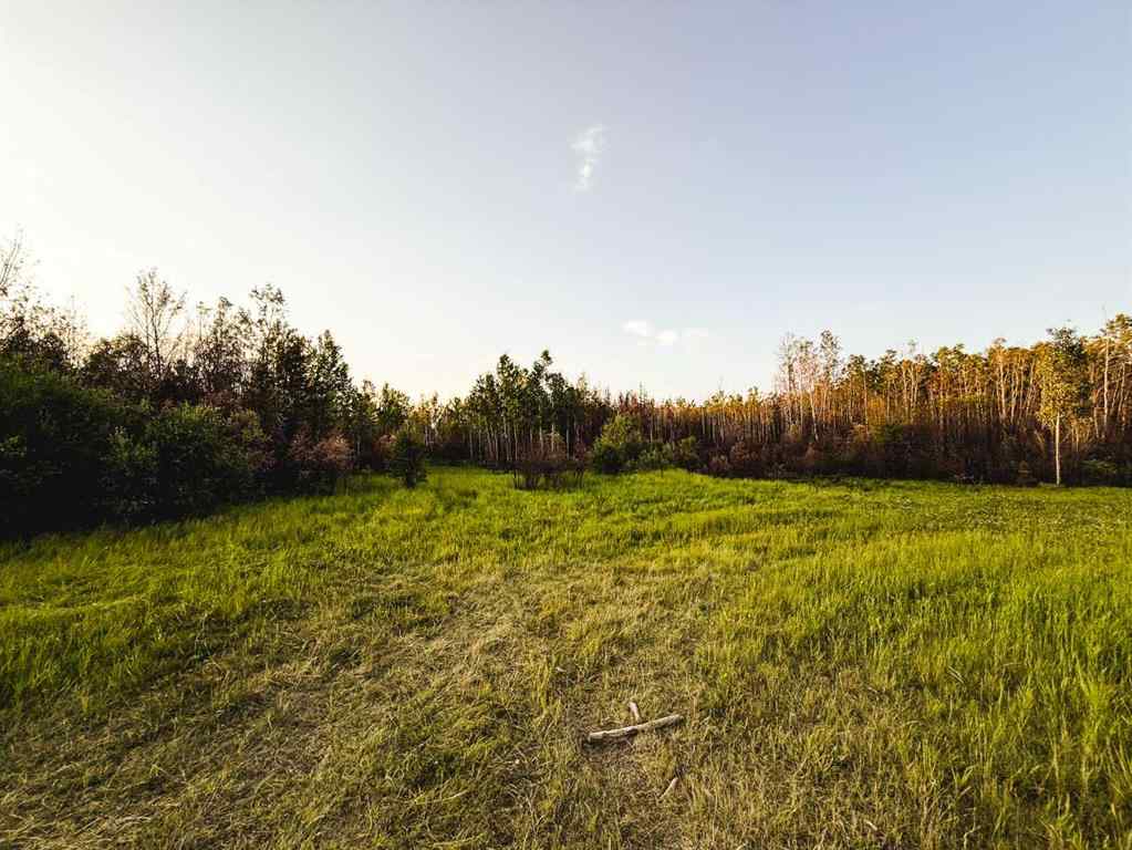 MLS® A2247111 - SE-25-79-9-W6 Township 794   in NONE Rural Saddle Hills County, Agri-Business