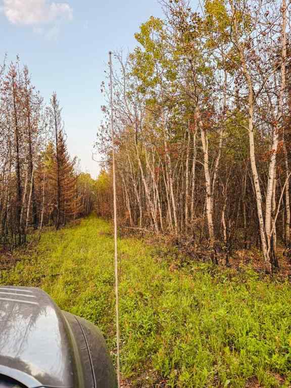MLS® A2247111 - SE-25-79-9-W6 Township 794   in NONE Rural Saddle Hills County, Agri-Business