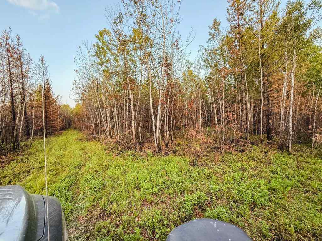 MLS® A2247111 - SE-25-79-9-W6 Township 794   in NONE Rural Saddle Hills County, Agri-Business