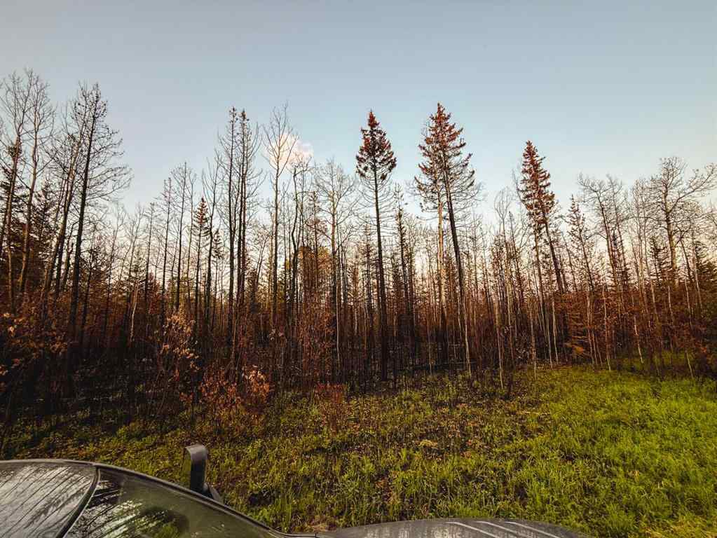 MLS® A2247111 - SE-25-79-9-W6 Township 794   in NONE Rural Saddle Hills County, Agri-Business