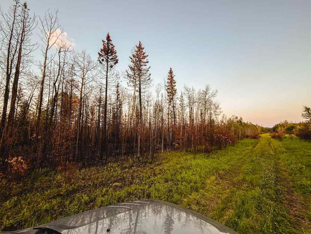 MLS® A2247111 - SE-25-79-9-W6 Township 794   in NONE Rural Saddle Hills County, Agri-Business