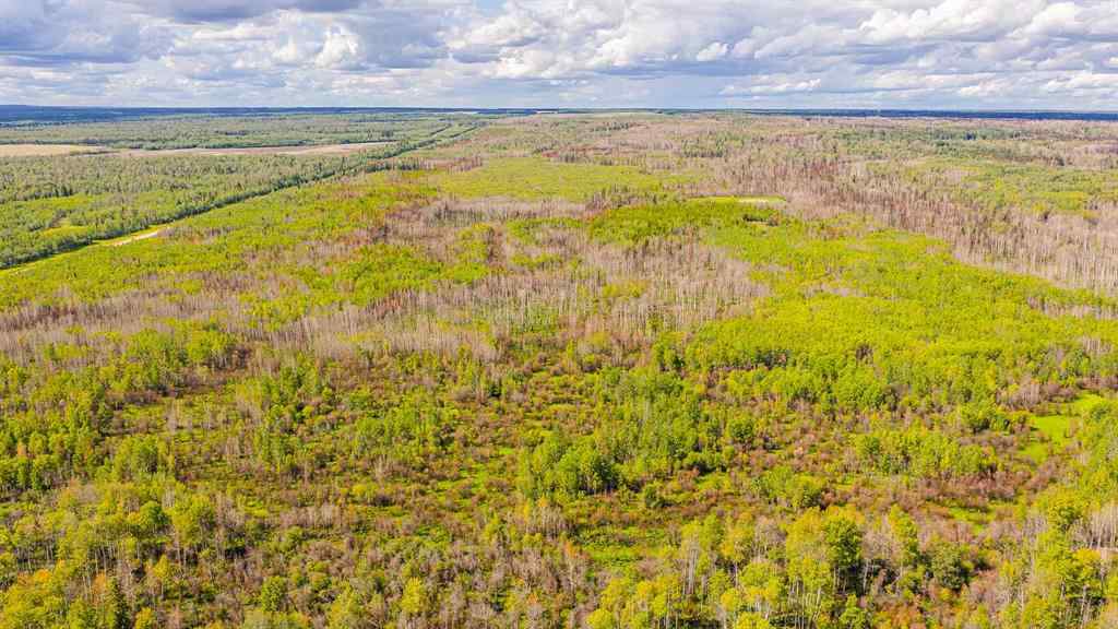 MLS® A2247111 - SE-25-79-9-W6 Township 794   in NONE Rural Saddle Hills County, Agri-Business