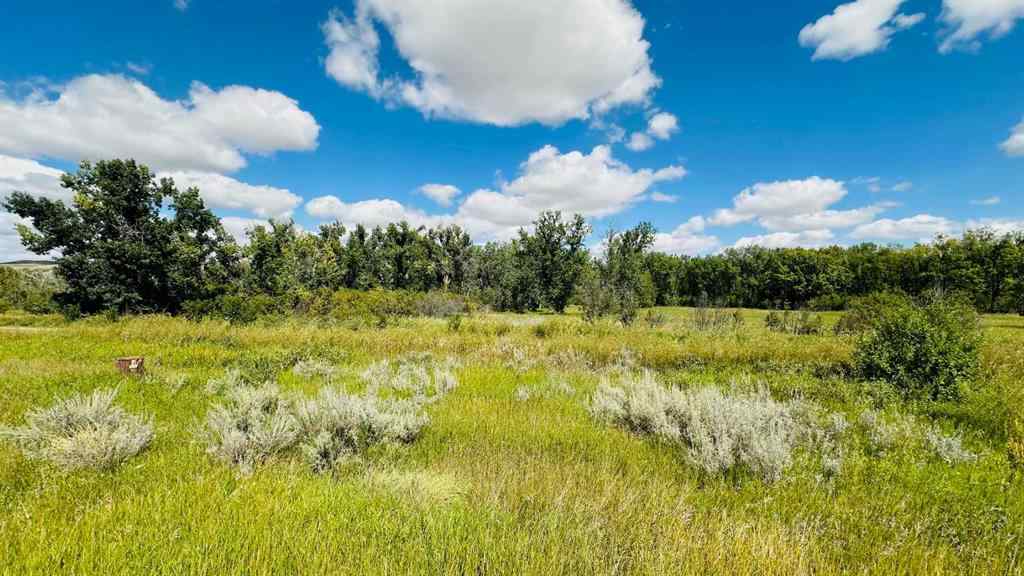 MLS® A2247168 - 3108 Riverview Road   in Rosedale Industrial Drumheller, Land