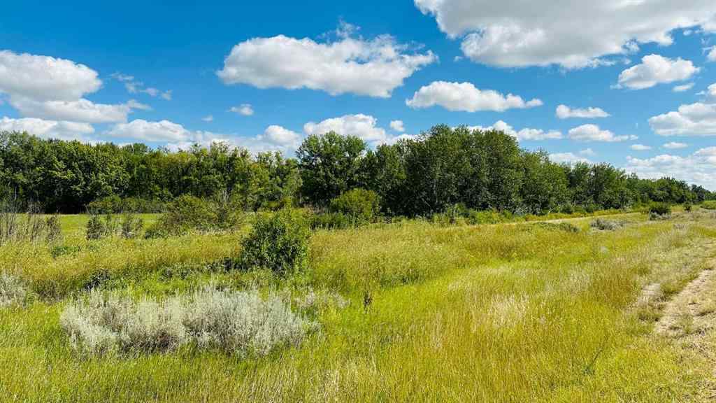 MLS® A2247168 - 3108 Riverview Road   in Rosedale Industrial Drumheller, Land