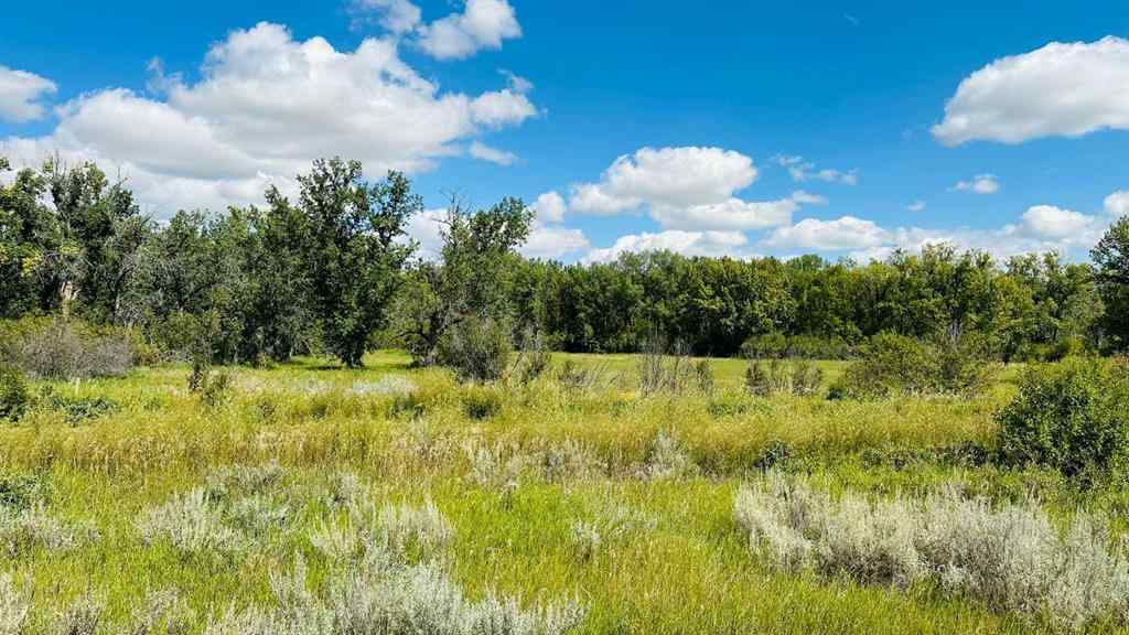 MLS® A2247168 - 3108 Riverview Road   in Rosedale Industrial Drumheller, Land