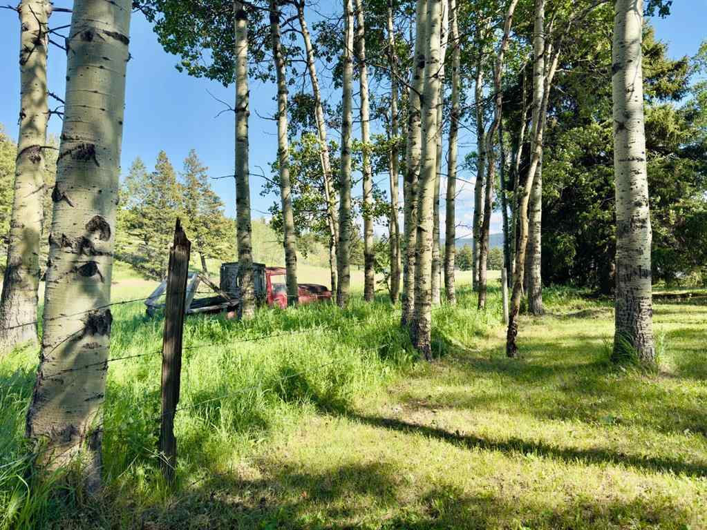 MLS® A2247233 - 23005 27 Avenue   in NONE Bellevue, Residential