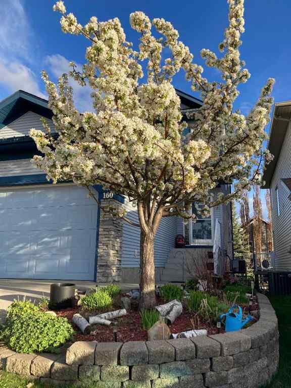 MLS® A2247333 - 160 Royal Birch Circle NW in Royal Oak Calgary, Residential