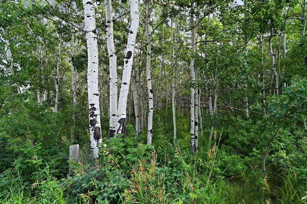 MLS® A2247353 - Unit #1212 211 Aspen Stone Boulevard SW in Aspen Woods Calgary, Residential