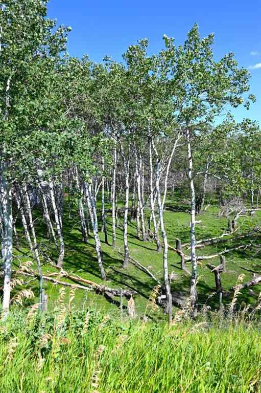 MLS® A2247365 - 2513 3 Highway  in NONE Rural Pincher Creek No. 9, M.D. of, Residential