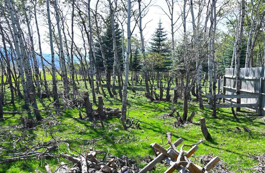 MLS® A2247365 - 2513 3 Highway  in NONE Rural Pincher Creek No. 9, M.D. of, Residential